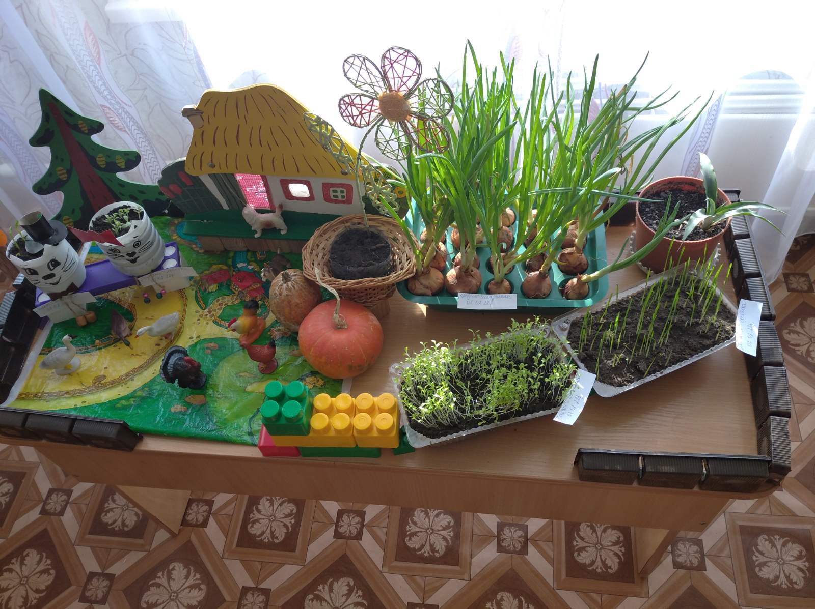 изображение_viber_2022-02-22_16-56-08-036