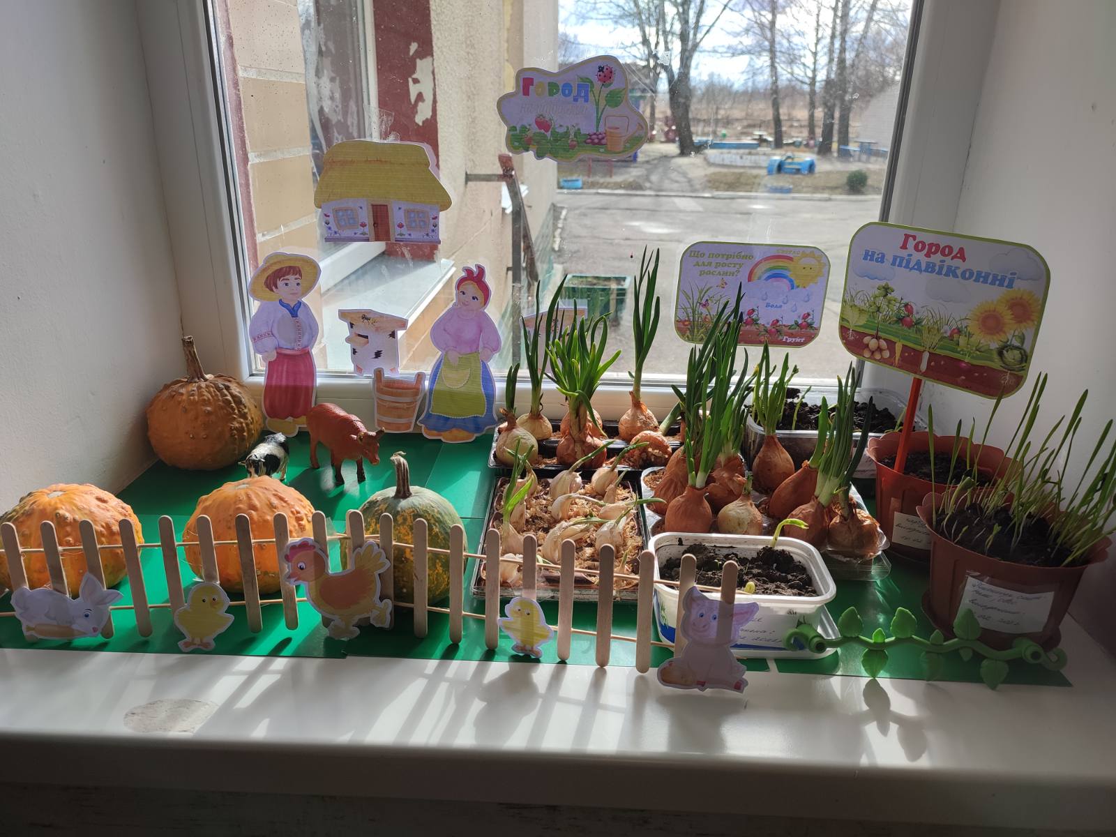 изображение_viber_2022-02-22_16-56-08-572