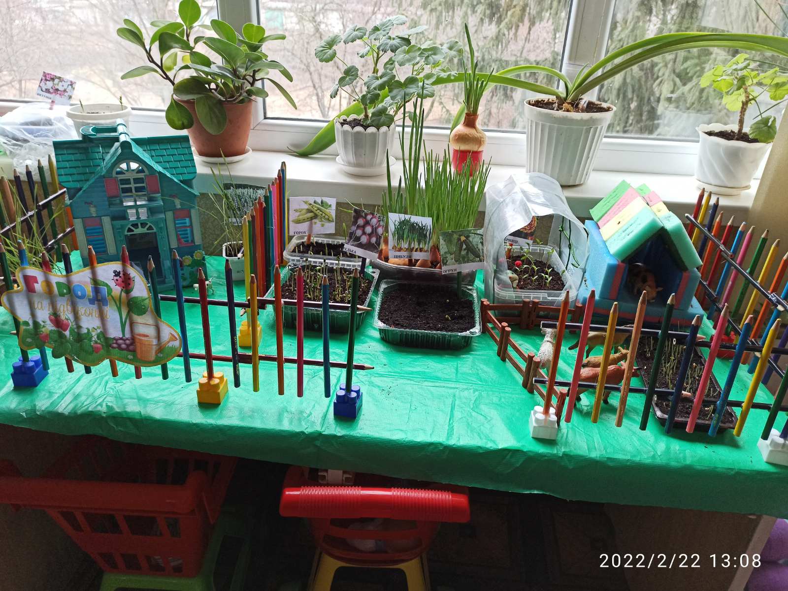 изображение_viber_2022-02-22_16-56-08-647