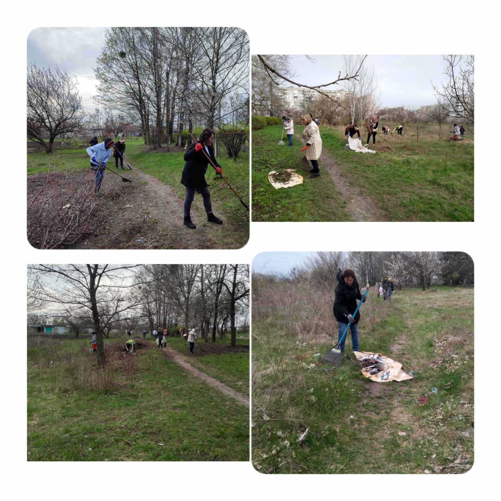 изображение_viber_2023-04-12_14-46-45-792