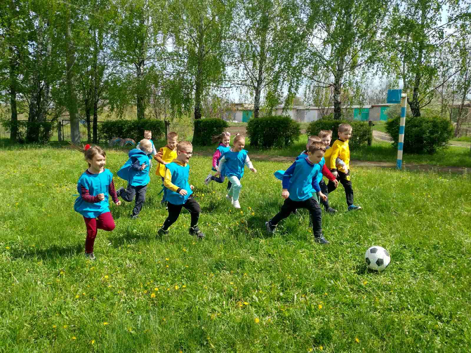 изображение_viber_2023-05-04_11-34-23-333